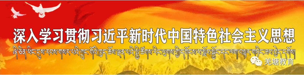 那曲市小学关于公开比选2026年招标项目招标代理机构的公告